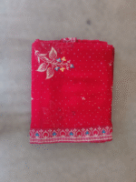 Zari work Georgette red sari